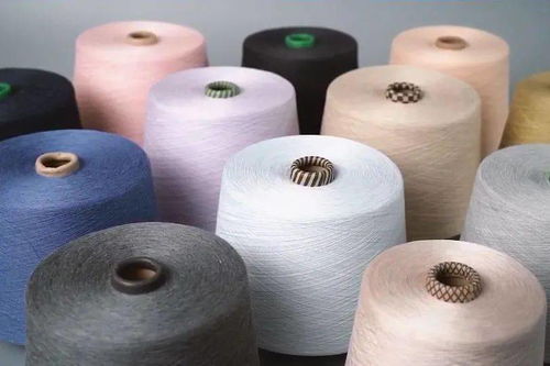 柯橋先行示范之路 瞄準(zhǔn)“雙碳”目標(biāo)，加速綠色轉(zhuǎn)型推動共同富裕